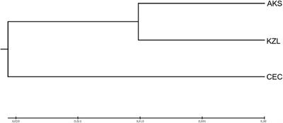 Analysis of Population Genetic Diversity and Genetic Structure of Schizothorax biddulphi Based on 20 Newly Developed SSR Markers